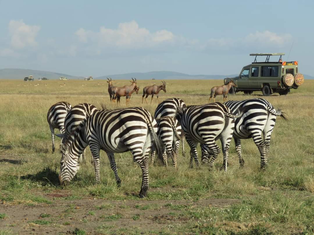 7 Days Masai Mara Safari & Watamu Beach Package