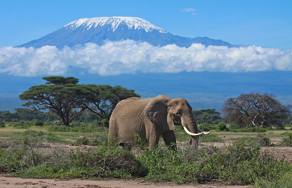 6 Days Amboseli, Tsavo East & Tsavo West & Mombasa Camping Safari