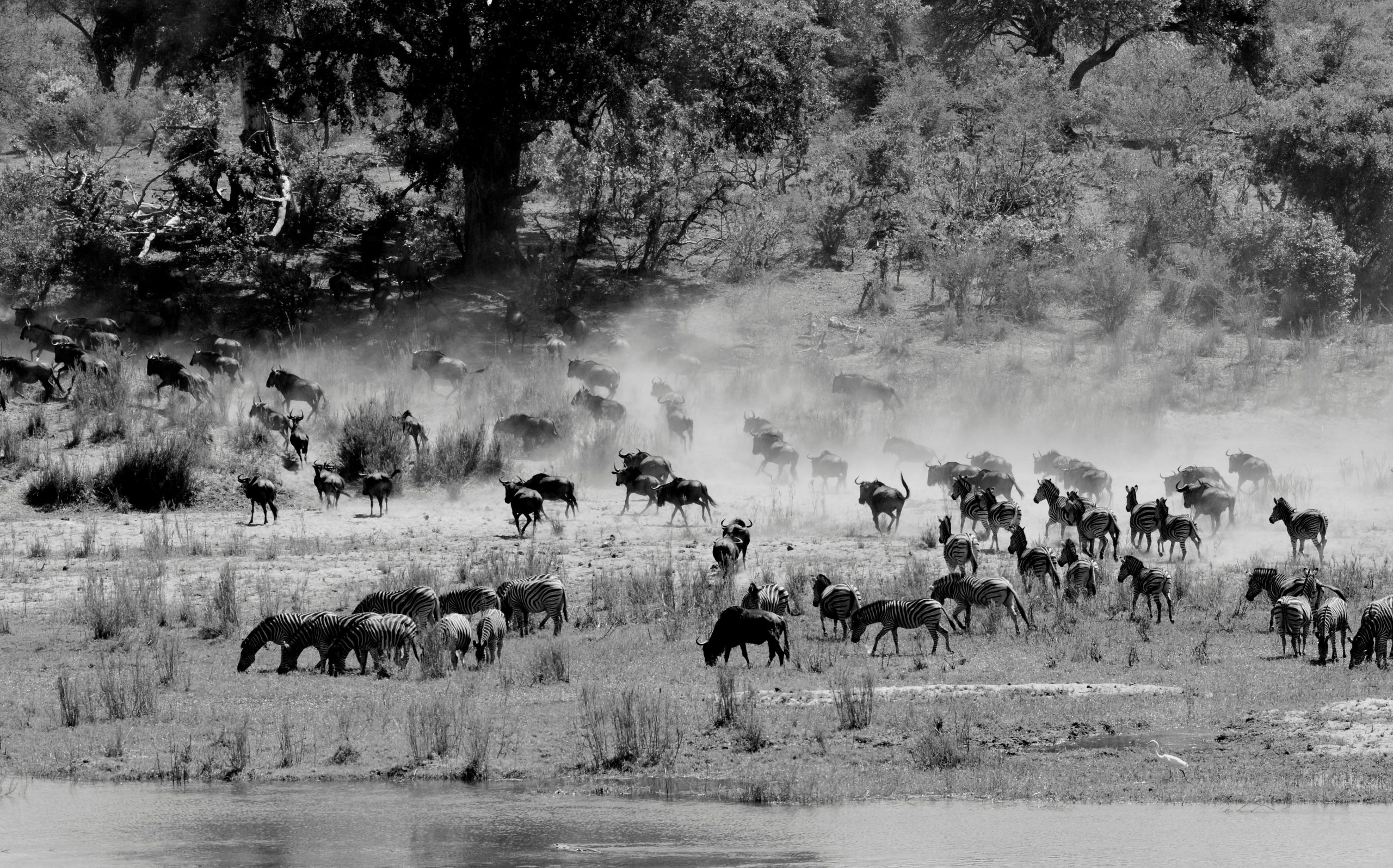 4 Days Group Joining Maasai Mara and Nakuru Tour